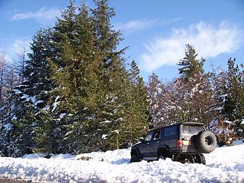 Click image for larger version

Name:	PICT2415.JPG
Views:	165
Size:	230.0 KB
ID:	1269303