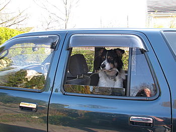 Click image for larger version

Name:	IMG_0001_3.JPG
Views:	208
Size:	89.7 KB
ID:	1269389