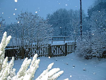 Click image for larger version

Name:	DSCF0002.JPG
Views:	222
Size:	139.2 KB
ID:	1269831
