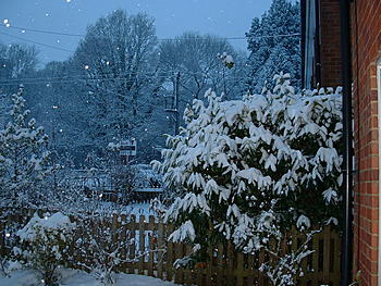 Click image for larger version

Name:	DSCF0004.JPG
Views:	202
Size:	139.8 KB
ID:	1269833