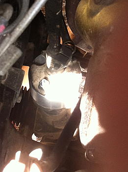 Click image for larger version

Name:	IMG_1918.jpg
Views:	564
Size:	147.2 KB
ID:	1271469