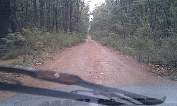 Click image for larger version

Name:	IMAG0560.jpg
Views:	137
Size:	304.2 KB
ID:	1271672