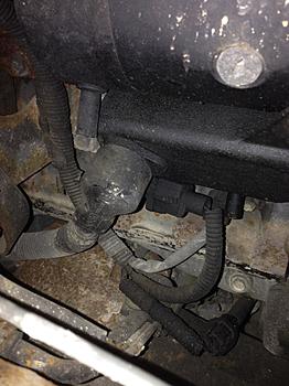 Click image for larger version

Name:	IMG_0904.jpg
Views:	1382
Size:	286.1 KB
ID:	1272891