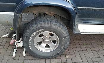Click image for larger version

Name:	20140401_193255[1].jpg
Views:	327
Size:	294.1 KB
ID:	1272975